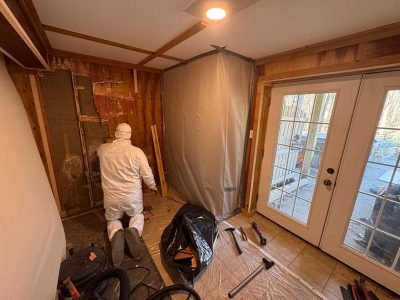 Mold Clean Up Expert