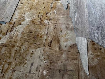 Water Extraction Remediation Services