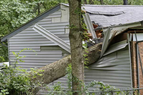 Hurricane Damage Restoration Services Hurricane Damage Restoration Services