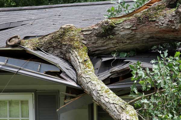 Learn More About Storm Damage Repair Services