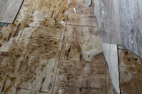 Learn More About Water Damage Restoration Services